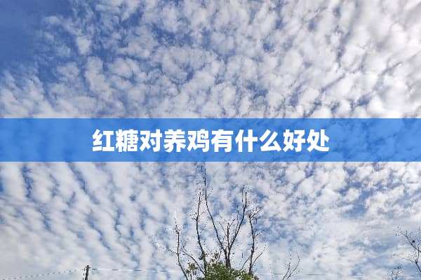 红糖对养鸡有什么好处