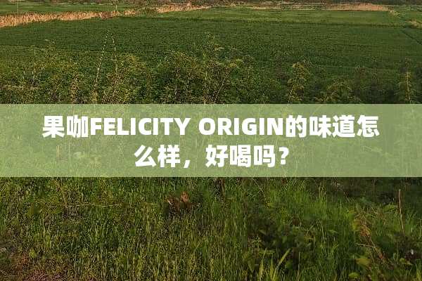 果咖FELICITY ORIGIN的味道怎么样，好喝吗？