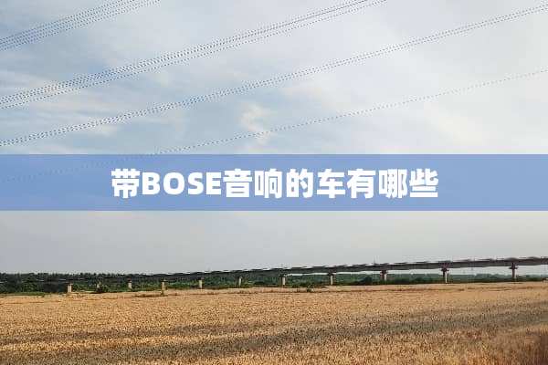 带BOSE音响的车有哪些