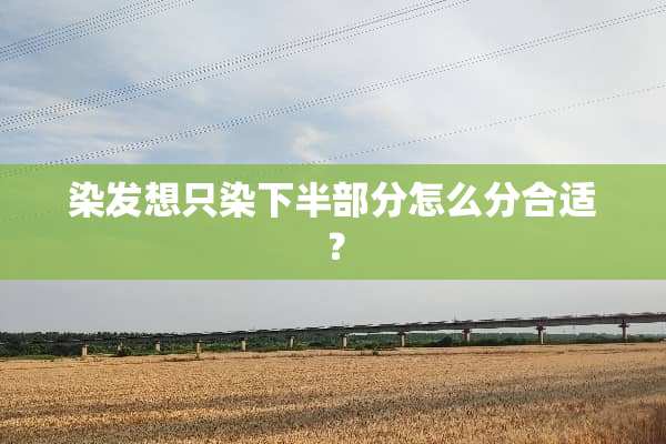 染发想只染下半部分怎么分合适？