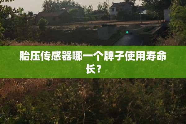 胎压传感器哪一个牌子使用寿命长？