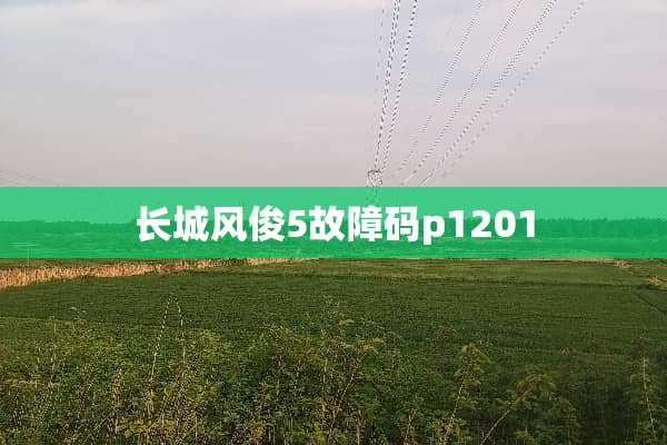 长城风俊5故障码p1201