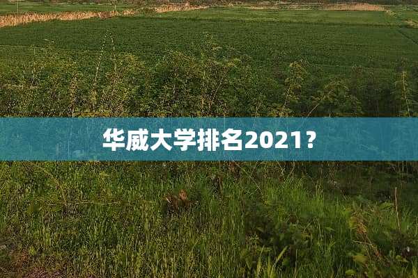 华威大学排名2021？