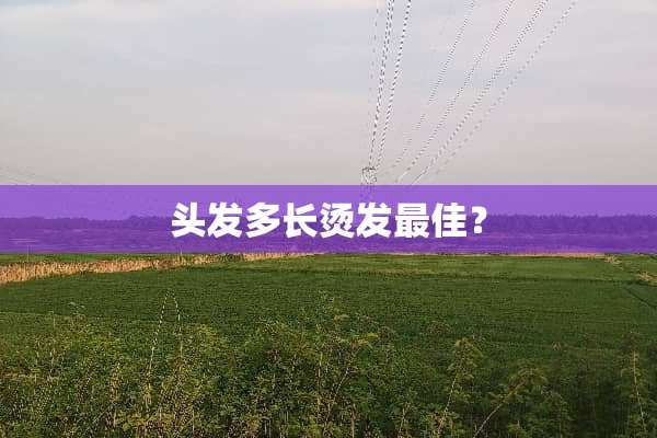 头发多长烫发最佳？