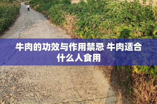 牛肉的功效与作用禁忌 牛肉适合什么人食用