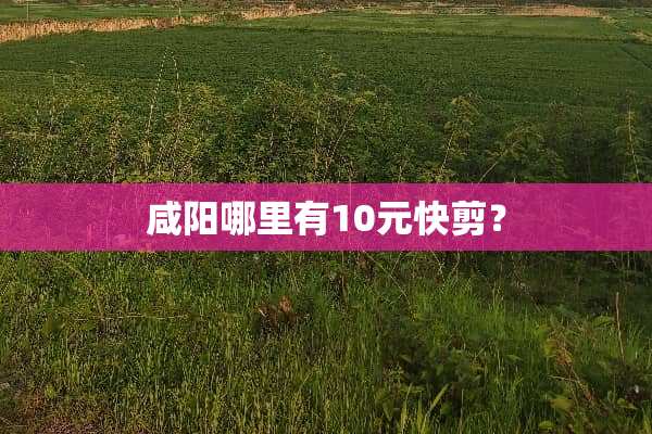 咸阳哪里有10元快剪？