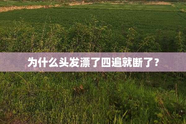 为什么头发漂了四遍就断了？