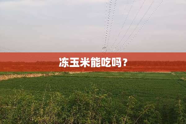 冻玉米能吃吗？