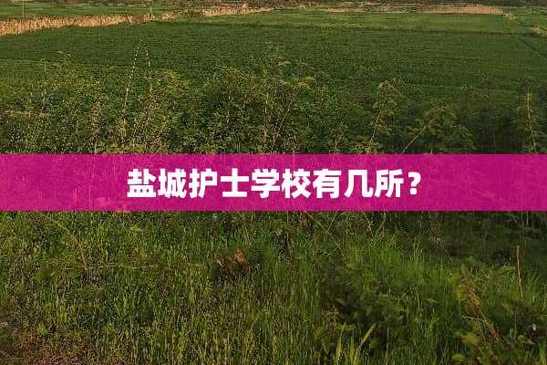 盐城护士学校有几所？