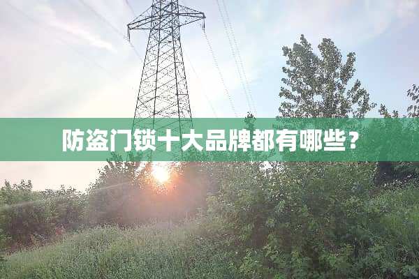 防盗门锁十大品牌都有哪些？