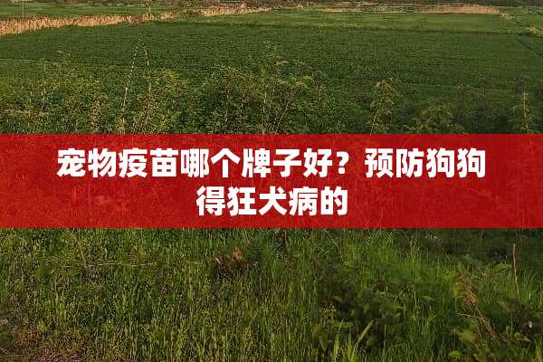 宠物**哪个牌子好？预防狗狗得狂犬病的