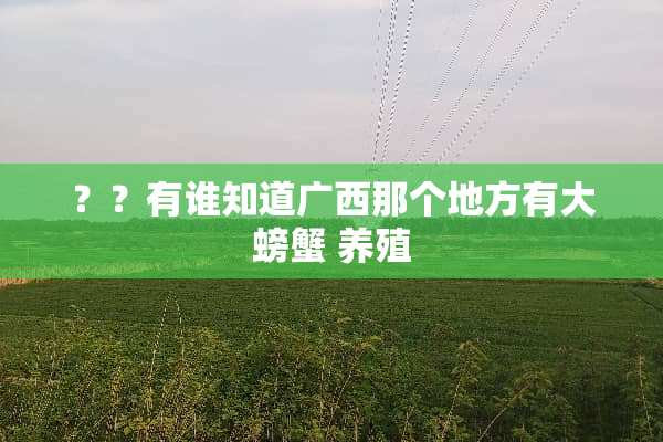 ？？有谁知道广西那个地方有大螃蟹 养殖