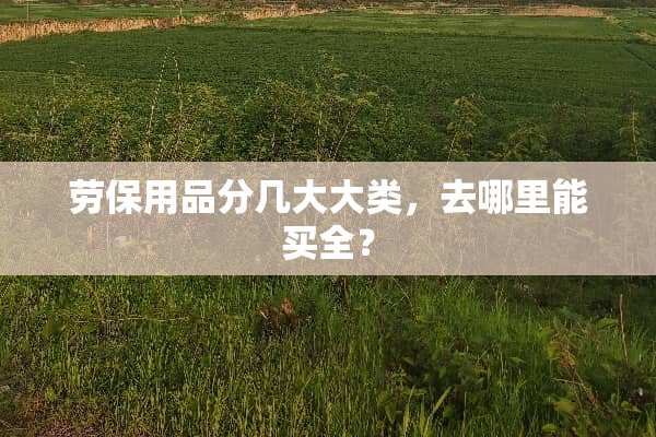 劳保用品分几大大类，去哪里能买全？