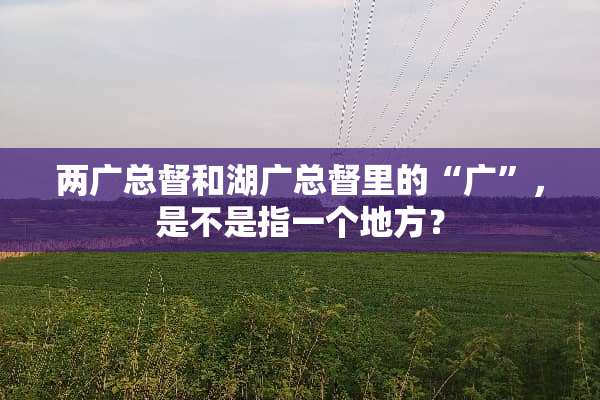 两广总督和湖广总督里的“广”，是不是指一个地方？