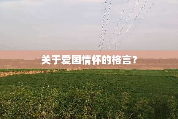 关于爱国情怀的格言？