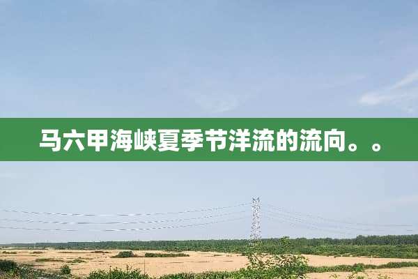 马六甲海峡夏季节洋流的流向。。