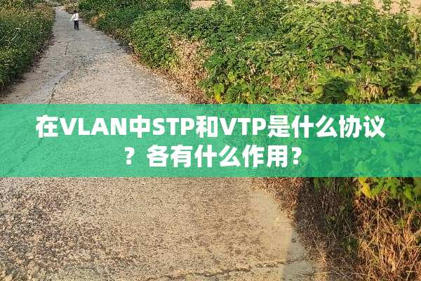 在VLAN中STP和VTP是什么协议？各有什么作用？