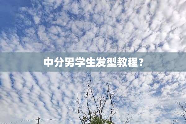 中分男学生发型教程？