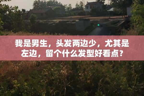 我是男生，头发两边少，尤其是左边，留个什么发型好看点？