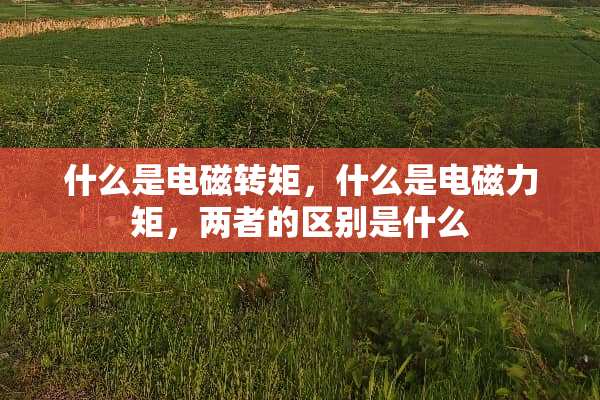 什么是电磁转矩，什么是电磁力矩，两者的区别是什么