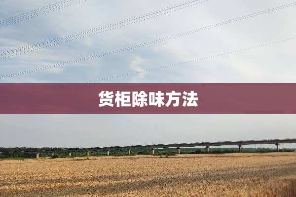 货柜除味方法