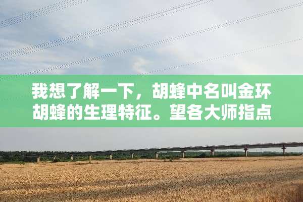 我想了解一下，胡蜂中名叫金环胡蜂的生理特征。望各大师指点讲解！