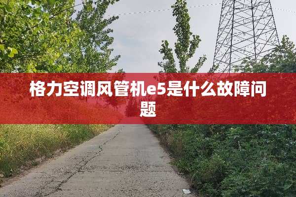 格力空调风管机e5是什么故障问题