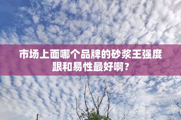 市场上面哪个品牌的砂浆王强度跟和易性最好啊？