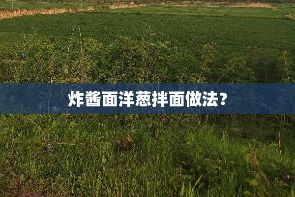 炸酱面洋葱拌面做法？