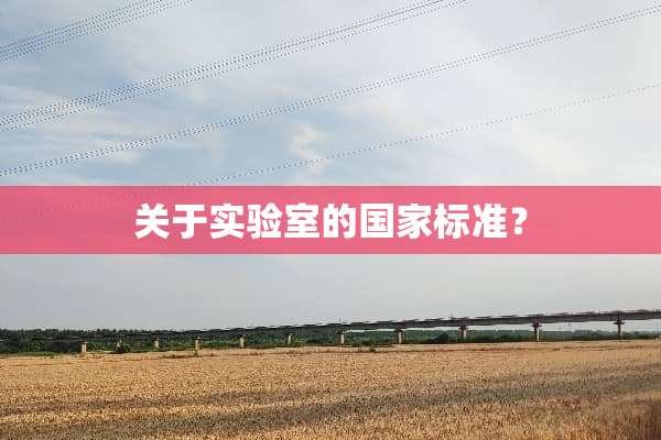 关于实验室的国家标准？