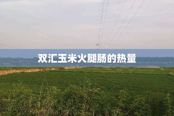 双汇玉米火腿肠的热量