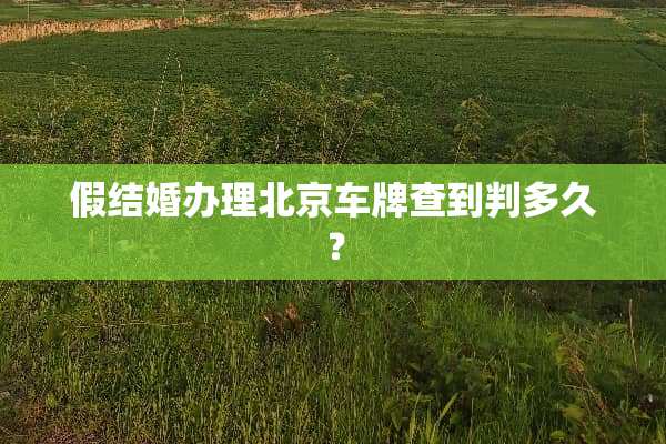 假结婚办理北京车牌查到判多久？