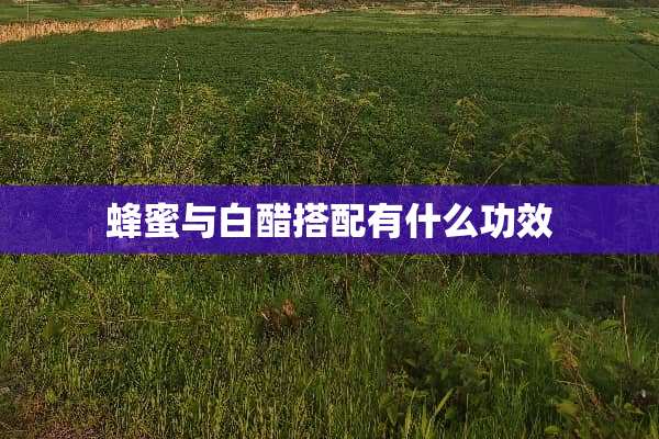 蜂蜜与白醋搭配有什么功效