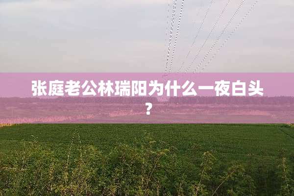 张庭老公林瑞阳为什么一夜白头？