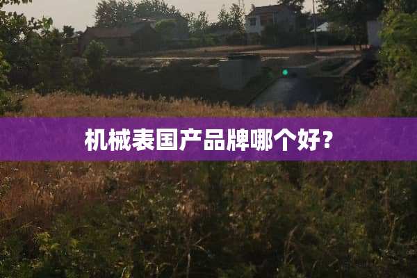 机械表国产品牌哪个好？