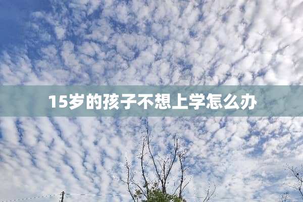 15岁的孩子不想上学怎么办