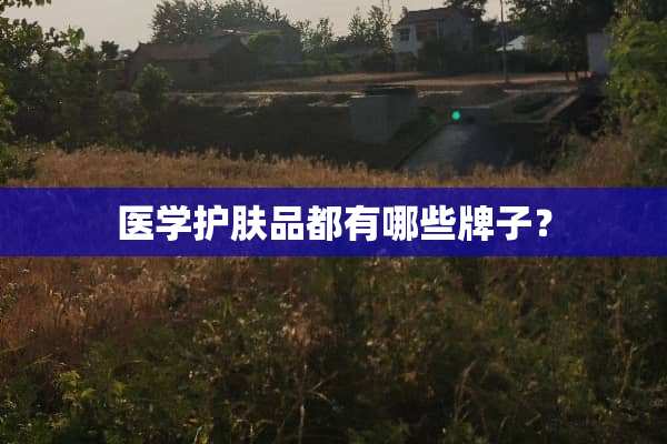 医学护肤品都有哪些牌子？