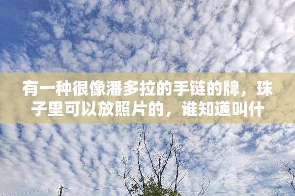有一种很像潘多拉的手链的牌，珠子里可以放照片的，谁知道叫什么牌？