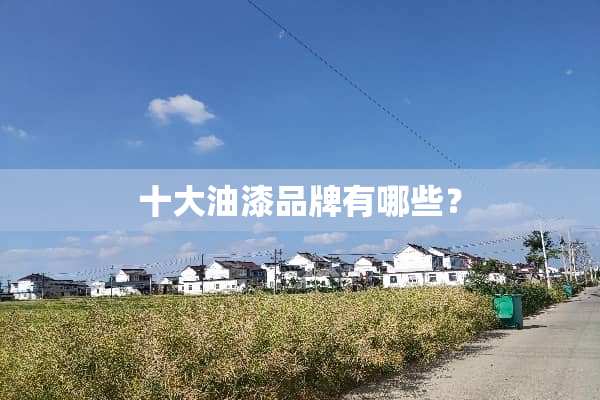 十大油漆品牌有哪些？