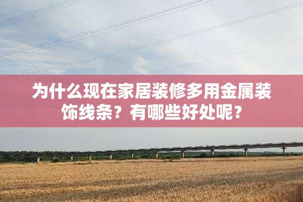 为什么现在家居装修多用金属装饰线条？有哪些好处呢？