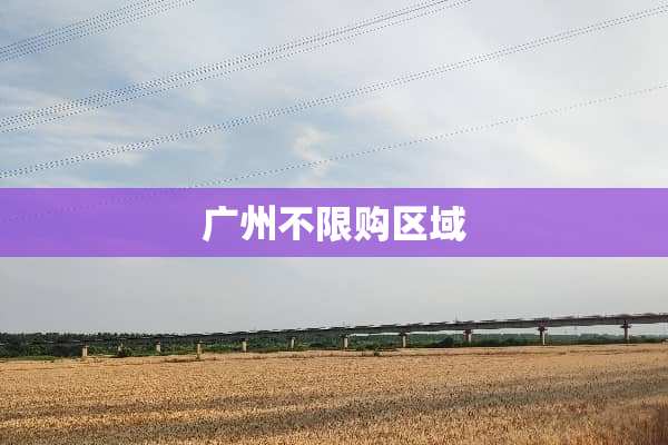 广州不限购区域