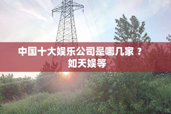 中国十大娱乐公司是哪几家 ？    如天娱等
