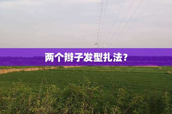 两个辫子发型扎法？
