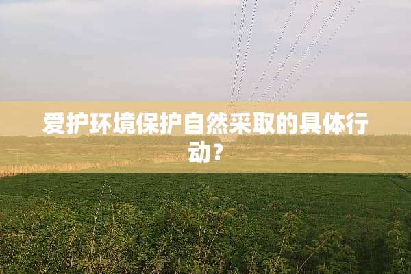 爱护环境保护自然采取的具体行动？