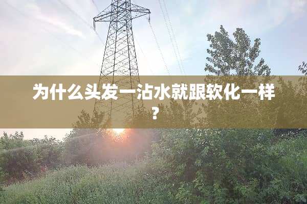 为什么头发一沾水就跟软化一样？
