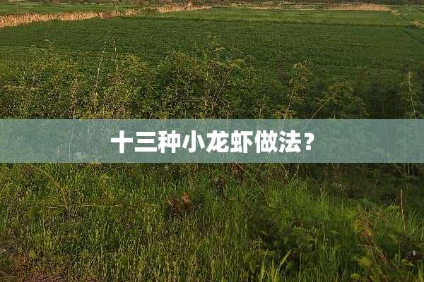 十三种小龙虾做法？