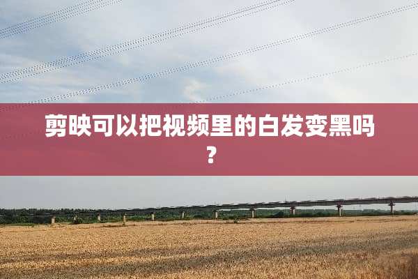 剪映可以把视频里的白发变黑吗？