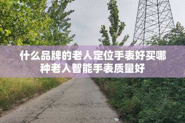 什么品牌的老人定位手表好买哪种老人智能手表质量好