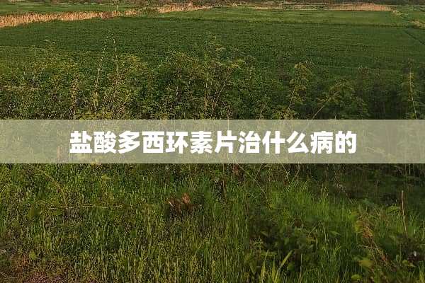 **多西环素片治什么病的