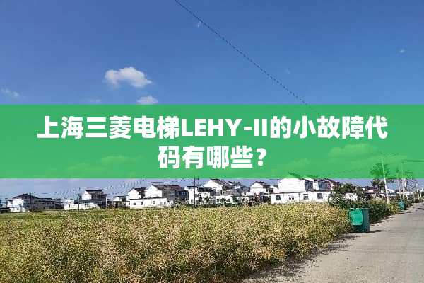 上海三菱电梯LEHY-II的小故障代码有哪些？